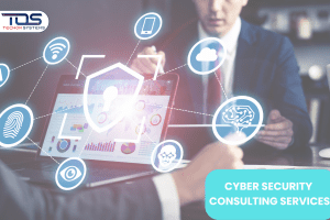 CYBER SECURITY CONSULTING SERVICES