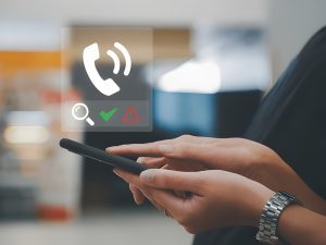 phone line protector